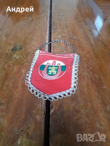 Старо флагче,флаг БНА