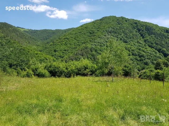 Рибарица 3000 кв.м. парцел и изграден до кота 0 стр., снимка 5 - Парцели - 50045804