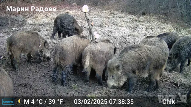 Ловна камера GardePro X60 Pro Max – С опция за видео на живо, снимка 7 - Оборудване и аксесоари за оръжия - 49588478