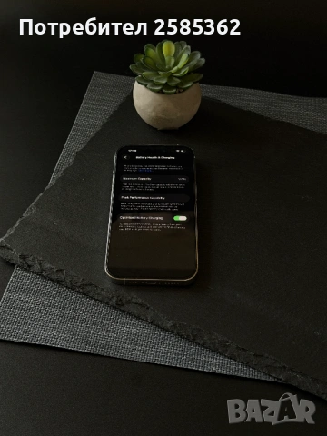 iPhone 14 Pro 256GB  Silver / 100% Батерия / Перфектен технически, снимка 3 - Apple iPhone - 53758118