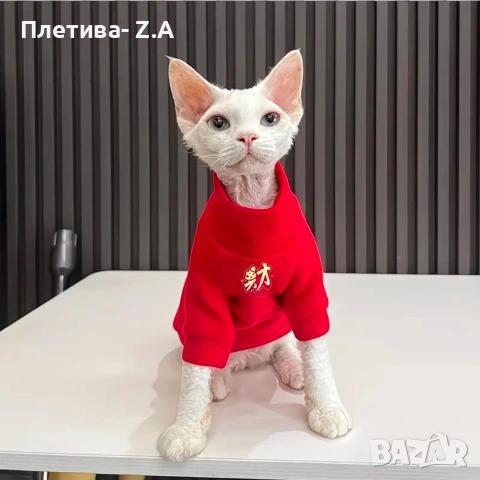 Червена блузка за котка/малко куче – размер XL