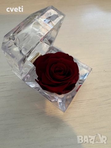 Вечна роза в кристална кутия , снимка 8 - Градински цветя и растения - 48969850