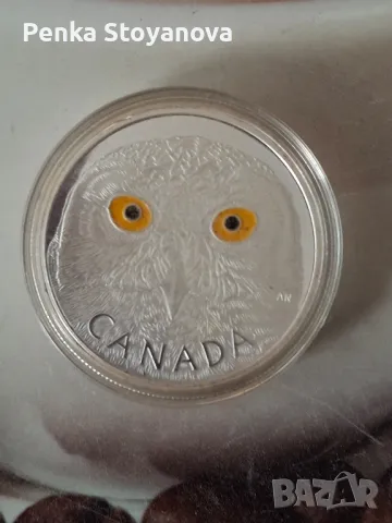 Монета голяма 250 долара 2014г, снимка 4 - Нумизматика и бонистика - 49079544