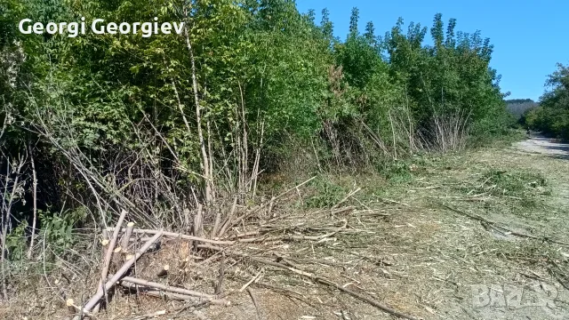 Мулчер шредера услуги , снимка 2 - Селскостопанска техника - 56046994
