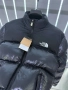 The North Face Мъжко Черно Зимно Яке Дъ Норт Фейс Код A1119, снимка 2