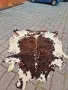 Продавам кожа от крава, снимка 2