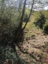 Парцел с. Панчарево, София, снимка 4