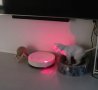 Интерактивен котешки нашийник -Smart Laser с лазерен проектор,USB+акумулаторна батерия, снимка 13