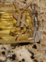 Оригинален парфюм Yves Saint Laurent Libre 90 ml EDP , снимка 3
