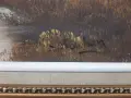Картини с маслени бои върху платно , снимка 16