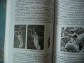 Пробиотици Минало, настояще и бъдеще Христо Чомаков здраве храна, снимка 3