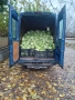Продавам зеле, снимка 4