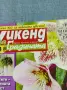 Списание "Уикенд за градината" 9÷22/2011, снимка 2