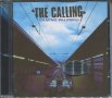 The Calling-Camino Palmero
