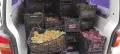 Грозде за ракия, снимка 3