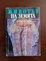 Животът на земята , снимка 1