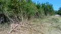 Мулчер шредера услуги , снимка 2
