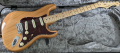 Fender American Pro Stratocaster, снимка 1 - Китари - 44733956