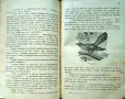 Малки разкази за животни и растения. Кн. 1-4 Стефанъ Велчевъ /1929/, снимка 7