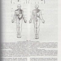 Мария Мандаджиева - АЛТЕРНАТИВНА МЕДИЦИНА ЗА ВСЕКИ, том 1, 2, 3 Комплект. Поотделно само том 2-3, снимка 4 - Специализирана литература - 40252611