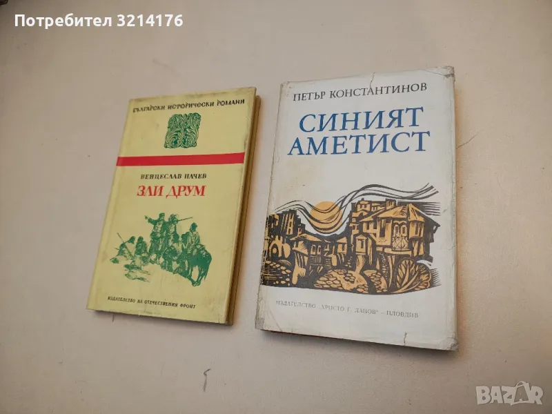 Синият аметист - Петър Константинов, снимка 1