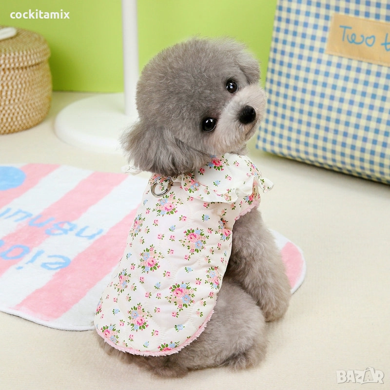 Яке за куче размер S, снимка 1