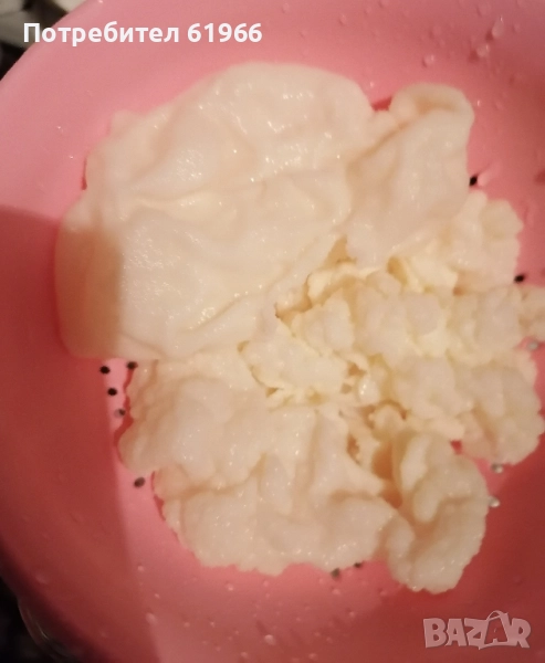 кефирена гъба в наличност, снимка 1