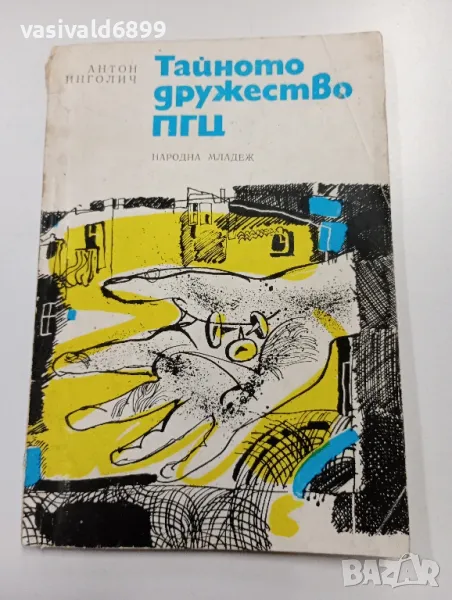 Антон Инголич - Тайното дружество ПГЦ, снимка 1