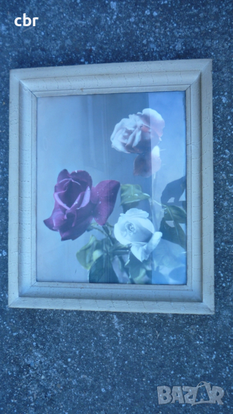 Картина с рози българска, снимка 1
