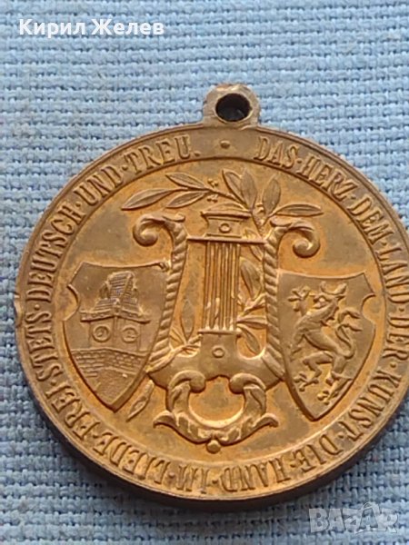 Рядък медал GRAZ 1902г. Уникат за КОЛЕКЦИОНЕРИ 38556, снимка 1