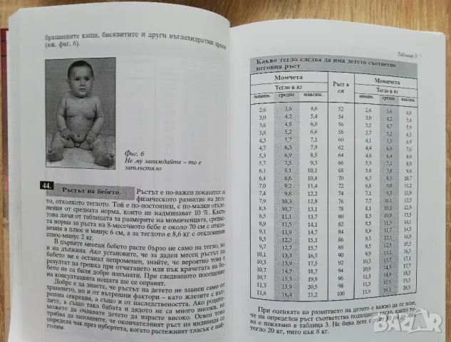 Книга за майката, Христо Михов, снимка 2 - Специализирана литература - 50281347