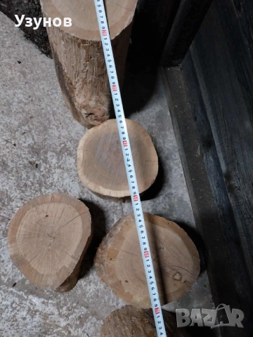  Дъбови Трупчета за месо и кокали, снимка 6 - Други - 52490951