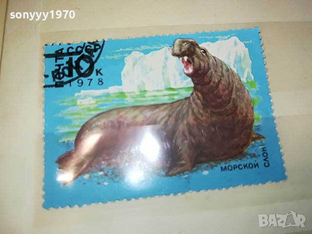 МАРКА 10 1978 СССР МОРСКОЙ СЛОН 1303231548