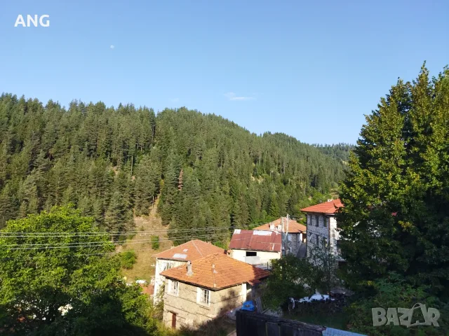 Продава къща в Родопите село Виево, снимка 13 - Къщи - 56078188