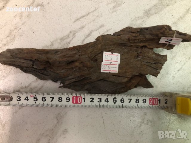 Мангров корен, снимка 1