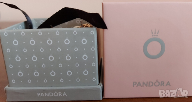 Pandora гривна и талисмани, снимка 10 - Други - 44602623