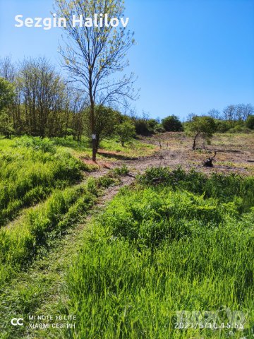 Голям Парцел , снимка 8 - Парцели - 35698745