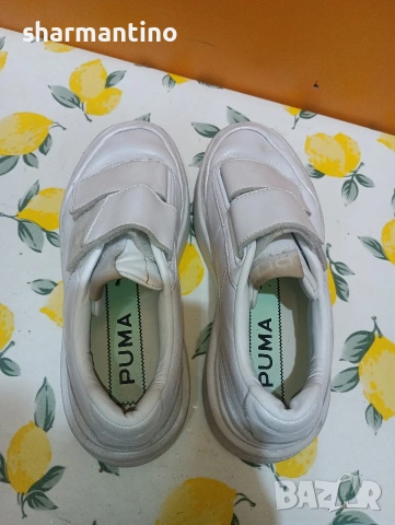 Puma Oslo N 37,5 кожени, снимка 6 - Маратонки - 53359982