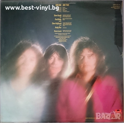 Грамофонна Плоча (Rare Bird - Born Again), снимка 2 - Грамофонни плочи - 53250698