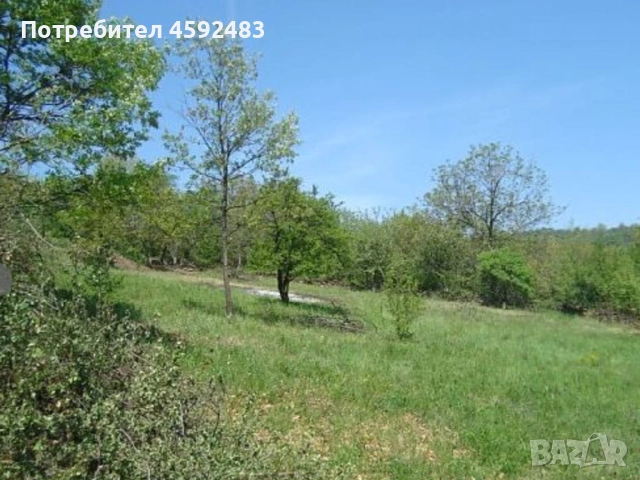 продавам три парцела УПИ ТОК И ВОДА , 1282м2,1500м2,1666м2 , снимка 4 - Парцели - 51686664