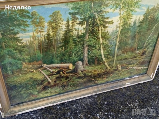 И.Шишкин,Рубка леса, картина, репродукция,1965г, снимка 9 - Антикварни и старинни предмети - 40356347