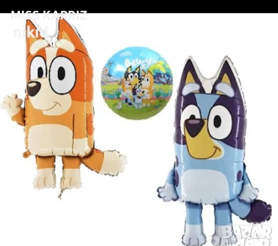 Парти украса Блуи