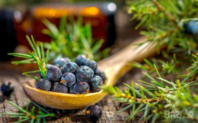 Етерично масло от хвойна плод различни разфасовки, снимка 2 - Други - 34311829