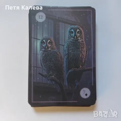 Карти The Moonlight Night Oracle , снимка 3 - Таро карти - 55912555