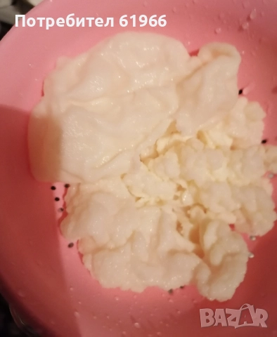 кефирена гъба в наличност