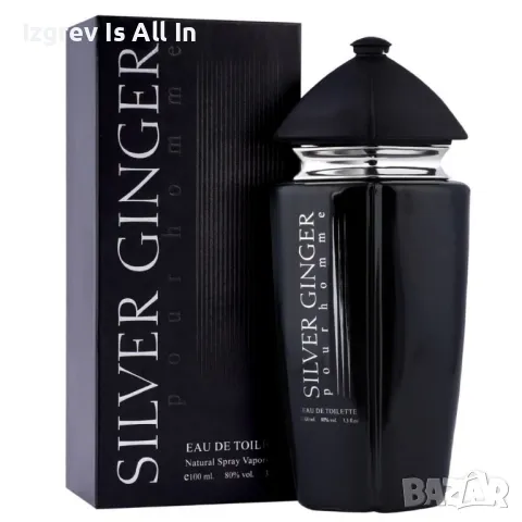 Парфюм Silver Ginger by BN, U n i s e x, Eau de toilette 100ml, снимка 1
