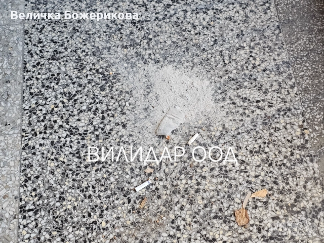 Почистване на вход, снимка 6 - Почистване на входове - 52770976