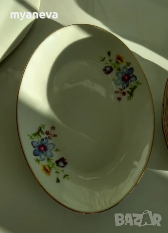Български порцелан,супник , голяма плато , чиния (40 см), чинии за ядки и мезета (7 бр.)., снимка 10 - Чинии - 51379915