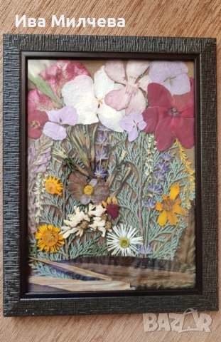 Ръчно изработени картини от естествени цветя, снимка 1