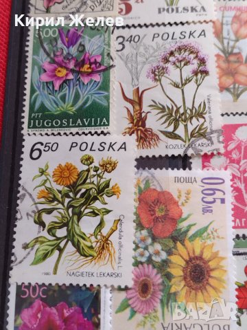 Пощенски марки смесени ЦВЕТЯ от цял свят перфектно състояние за КОЛЕКЦИЯ 22632, снимка 3 - Филателия - 40364561